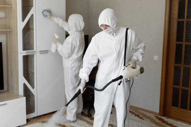 Affordable Infectious Disease Decontamination solutions in Urbana, IL